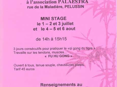 Mini stage de Qigong