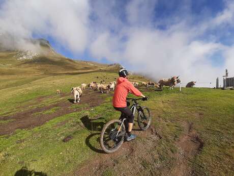 Sorties VTT/ VTT électrique avec EMTB guide Morzine