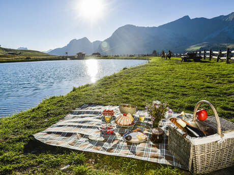 Aire de pique-nique / barbecue au lac de la Cour