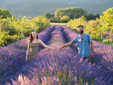 Die Provence in der Flasche