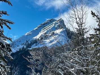 Sortie raquettes collectives -1/2 journée -Crête et Combes du Col de Porte