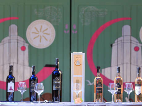 Vignoble Cap Saint-Pierre