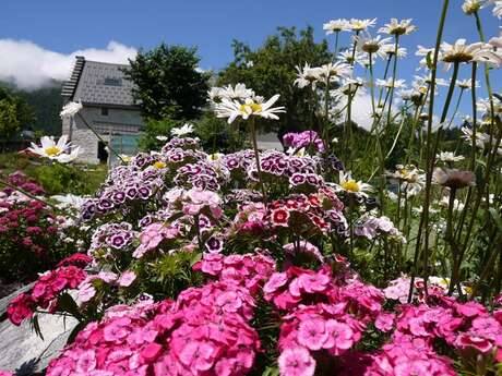 Végétal en Vercors
