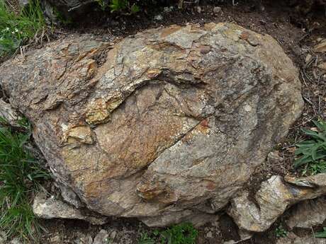 Randonnée accompagnée (groupes) : Des volcans dans le Chablais ?