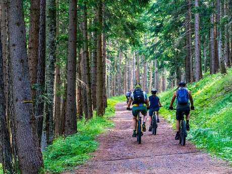 Mountainbikestrecke um Saint-Bonnet le- Château