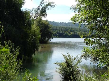 Balades découverte du patrimoine naturel de l'île du Beurre