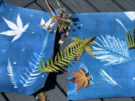 Atelier Cyanotypes
