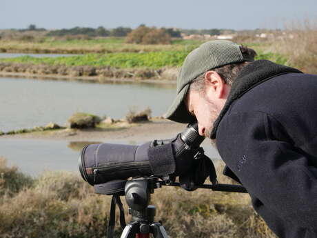 Sortie nature avec un écogarde - Balade Marais-Time