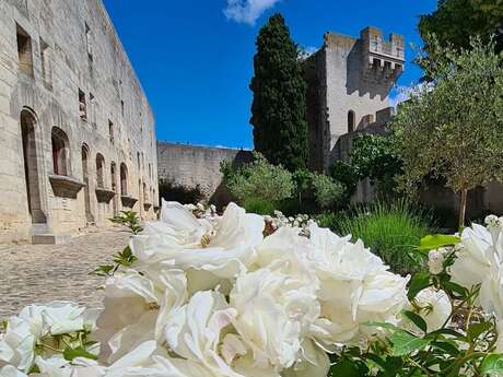 Château de Tarascon