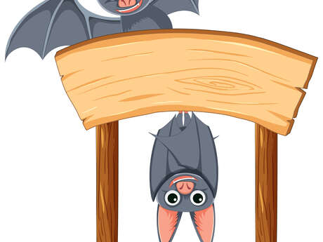 Chantier participatif chauve-souris