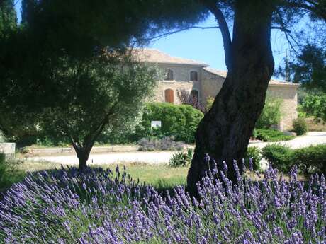 Clos du Père Clément