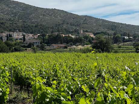 Bibliothèque municipale de Puyloubier