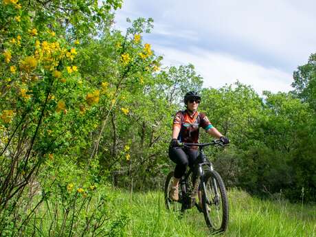 Site VTT FFC - Provence Verdon - Circuit 14 - Rouge