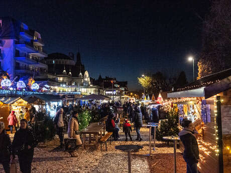 Muzikale avonden onder de sterren