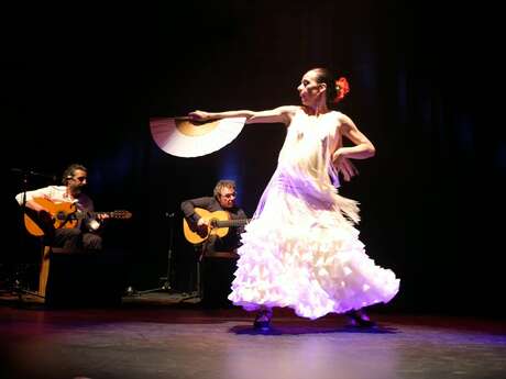 Spectacle Flamenco "Arteso y Caminando"