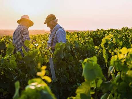 Farm Succession Meeting