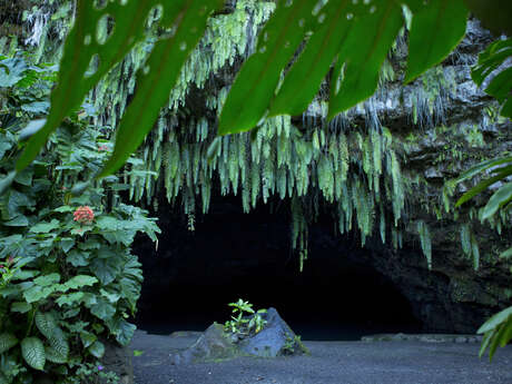 Grotte De Mara'a