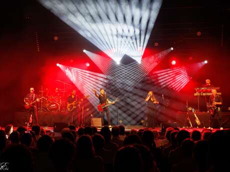 La TEAM Goldman concert gratuit