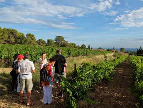 Visite guidée du Clos de Caveau