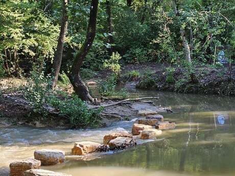 #RDVDUPARC • En quête de zones humides