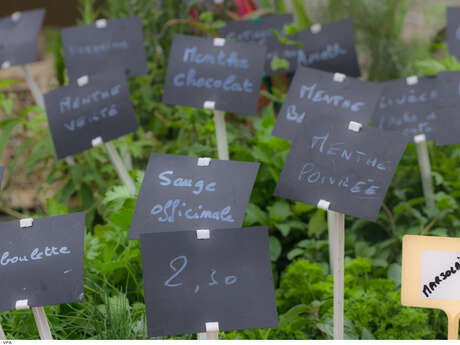 Outstanding Farmers' Market of Velleron