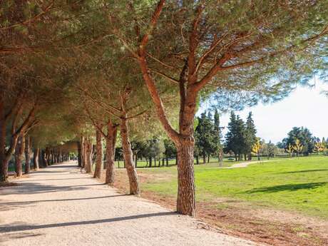 La promenade des Annamites