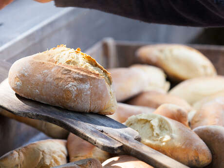 Bread festival in the Césaris district
