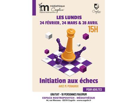 Introduction to chess