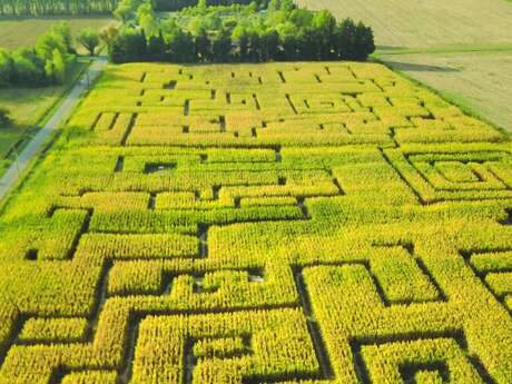 Labyrinthe les Hautes Herbes