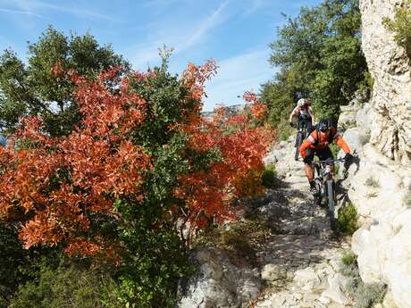 MTB GTV Etappe 9 -  Von Lauris nach Mérindol