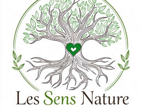 Wandering and contact with nature through our 5 senses