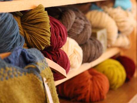 Laine d'ici et d'à côté - Wool