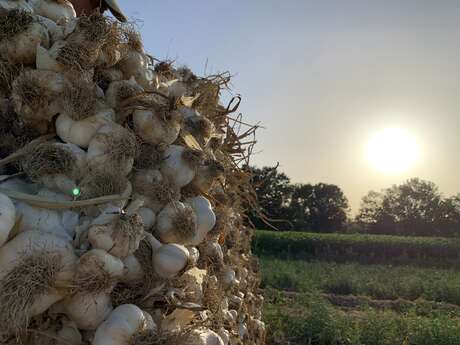 Balade à la Ferme du Lavoir des Puys