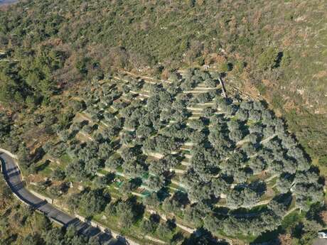 SCEA Les Graves - La Josephine