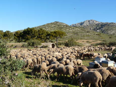 A walk in the hills: Meeting a farmer