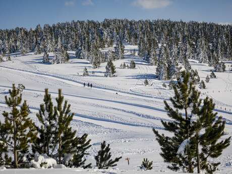 Gourmet snowshoeing under the stars on the Plateau de Beille