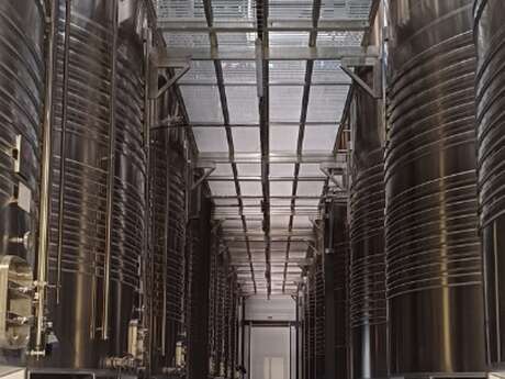 Les Lambesc'apades : visite du Vignoble du Roy René