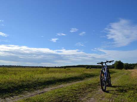 N°6 - Les Vallons de la Mare - Espace VTT Montbrison-Monts du Forez