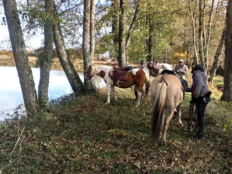 Balade à cheval 2h