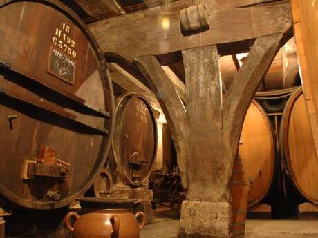 Medieval cave of the Château La Tour de Marignan