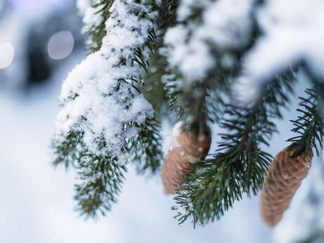 Le Chemin de Fanou Hiver