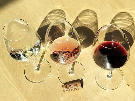 Atelier Dégustation : Découverte des Vins de Madargue