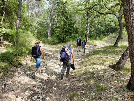 Landscapes of Ansouis