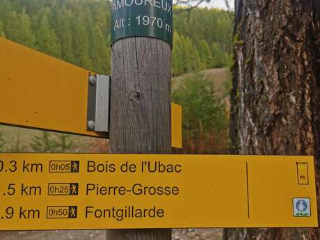 Le Bois des Amoureux