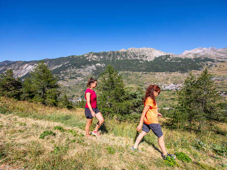 Marche découverte