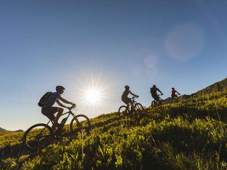 VTT électrique sortie privatisée