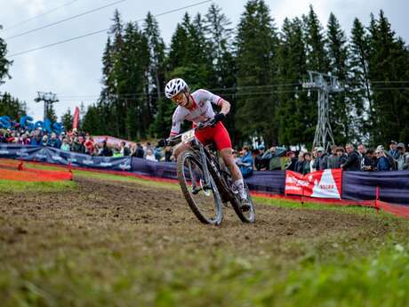 Cross-Country Short Track (XCC)