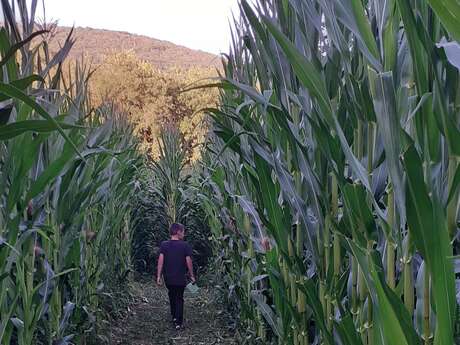 Labyrinthe végétal à la ferme du Naray