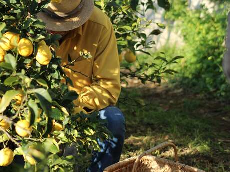 Unguided tour of Domaine Gannac