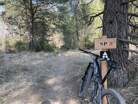 L’Enduro des Amarines N°14 - Très difficile 25km - 2h30